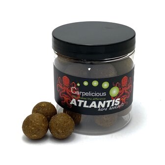 Hard Hookbaits Atlantis